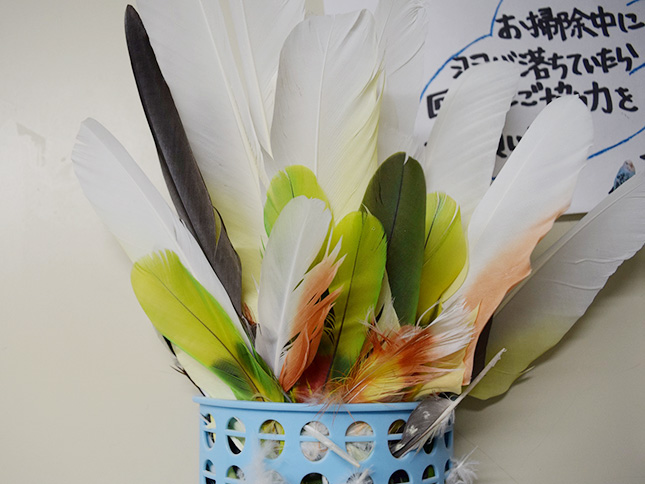 鳥の羽