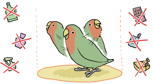 鳥さんの身近に置いてはいけないもの