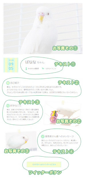 WEBページの詳細説明