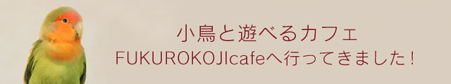 鳥カフェリポート vol.001 Fukurokojicafe