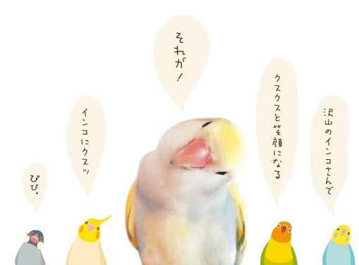 インコにクスッ