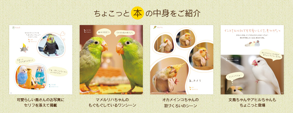 インコにクスッ 中身をご紹介