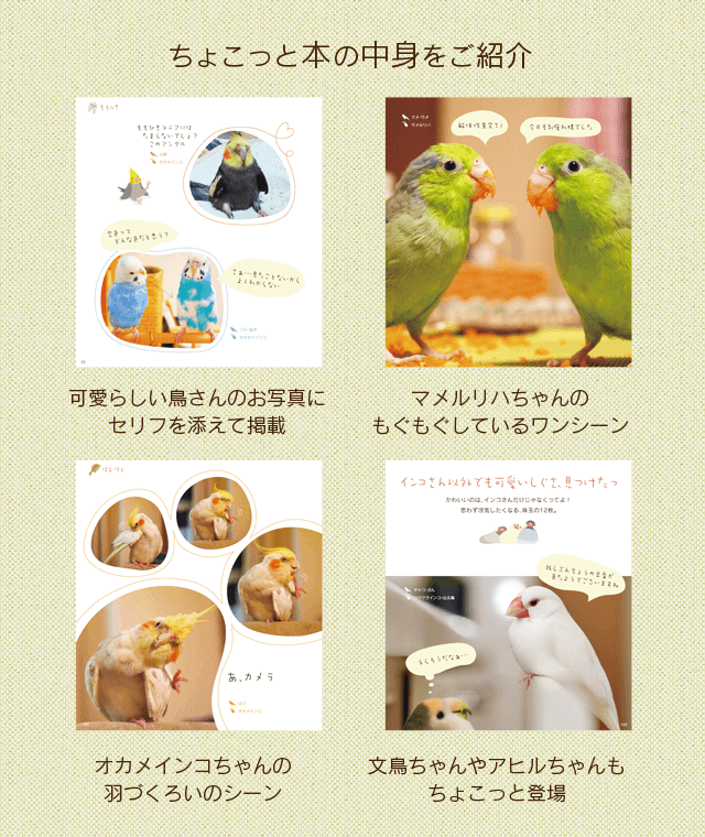 インコにクスッ 中身をご紹介