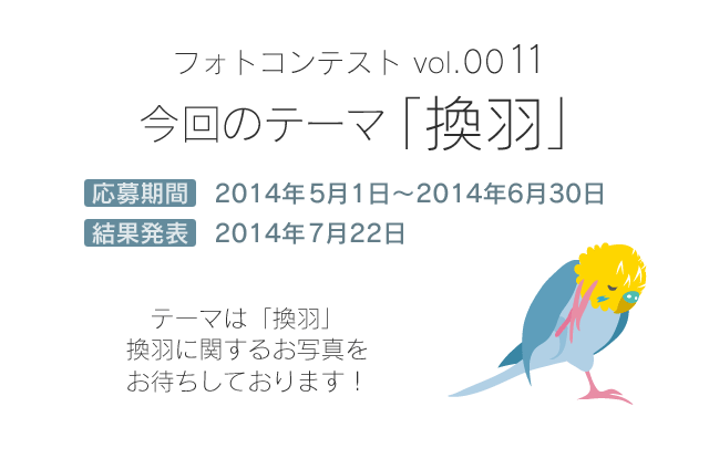 鳥フォトコンテスト すあま さん Birdstory