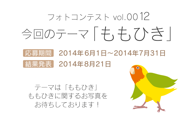 Vol 012 ももひき 結果発表 Birdstory