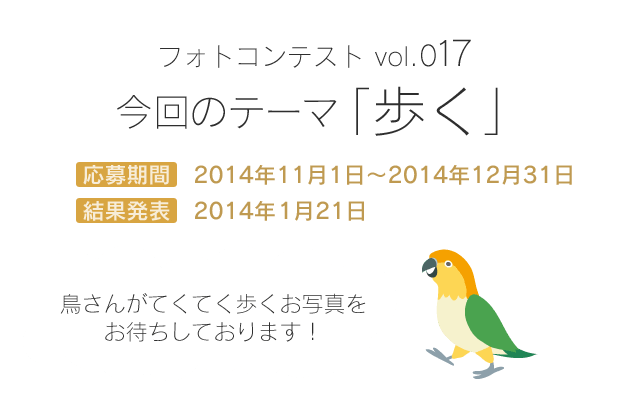 鳥フォトコンテスト クー さん Birdstory