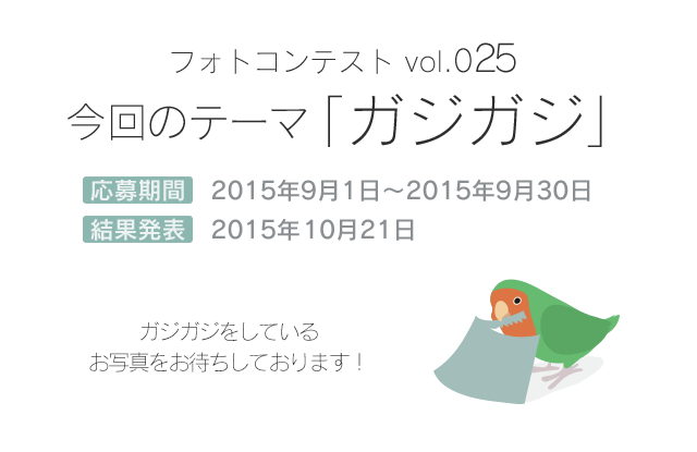 鳥フォトコンテスト まりも さん Birdstory