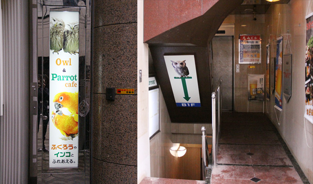 ことりカフェ表参道 店内の様子