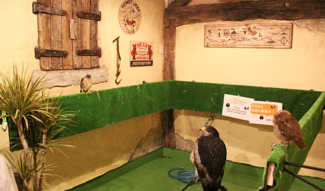 鳥のいるカフェ浅草 店内の様子