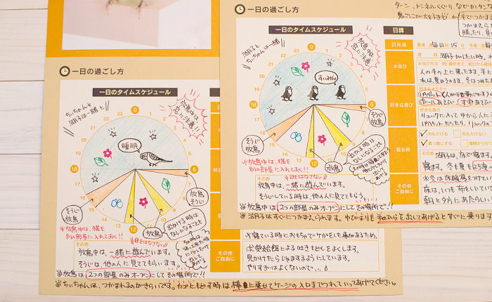 BLLシートに愛情情報を書き込んだ例