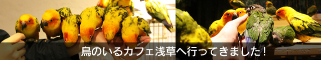 鳥のいるカフェ浅草レポート!