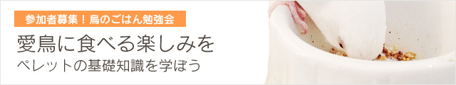 鳥イベントvol.003 愛鳥に食べる楽しみを(ペレットの基礎知識を学ぼう)