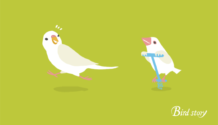 Birdstory 2015年鳥カレンダー