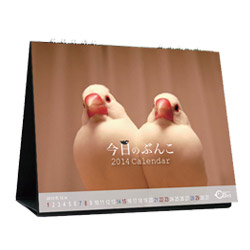 2014年鳥のカレンダープレゼントのお知らせ