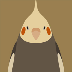 鳥好きによる鳥好きの為のアプリ 鳥壁紙アプリ トリノイロ が公開 Birdstory
