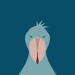 鳥壁紙アプリ トリノイロ に新作デザインパックが登場 Birdstory