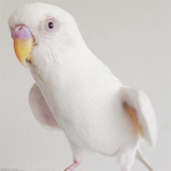 ぐる~んを練習中!