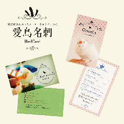 愛鳥名刺プロジェクト!