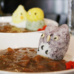 いんこKITCHENに行ってきました!