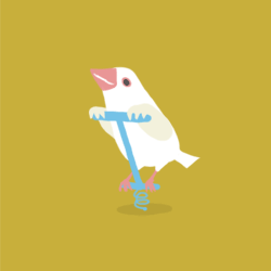 文鳥の歩き方