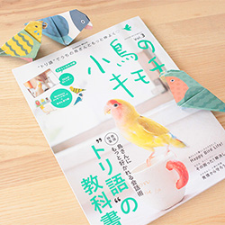 小鳥のキモチ Vol.3の付録を担当しました♪