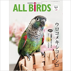 愛鳥家さん向け専門雑誌「オールバード」でカナリアさんのお写真募集中!