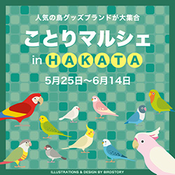東急ハンズ博多店「ことりマルシェ」開催!