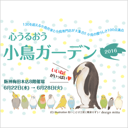 阪神百貨店「心うるおう小鳥ガーデン2016」開催!