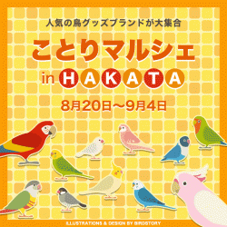 東急ハンズ博多店「ことりマルシェ」開催!